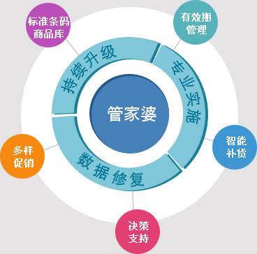 精准管家婆，人力释义、解释与落实的关键策略