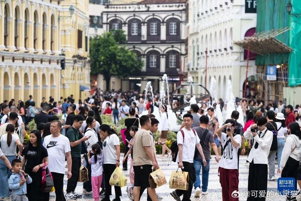 澳门精准一肖一码一一中，习俗释义解释落实的文章