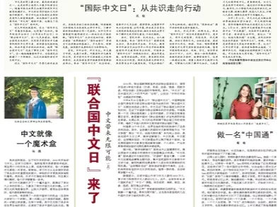 新澳门免费资料挂牌大全与老练释义，深度解析与落实策略