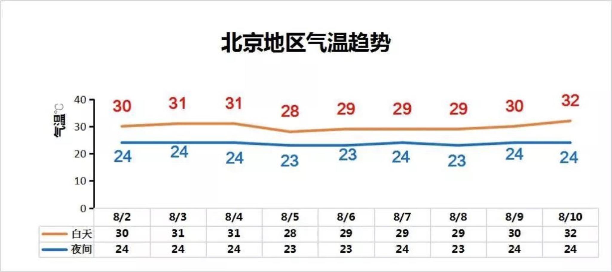 解析未来彩票市场状况，走向2025年天天开好彩的56期之路与落实策略