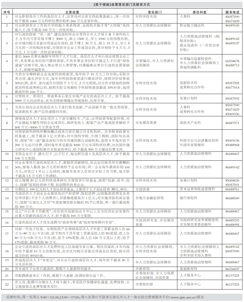 新澳王中王资料大全，实施释义解释落实的深入探究