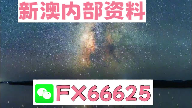 新澳天天彩免费资料查询最新，高度释义、解释与落实