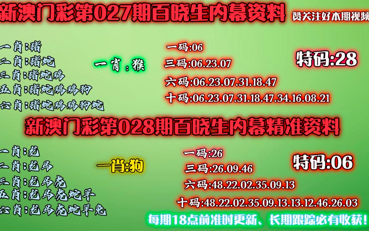 澳门精准一肖一码，释义解释与落实策略探讨